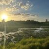 cactusriver